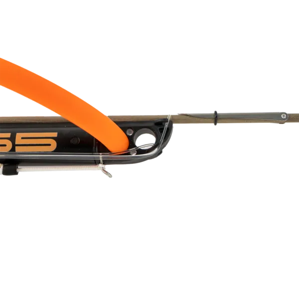 seabass bonassi for spearfishing