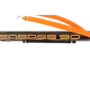 bungee seabass bonassi for spearfishing