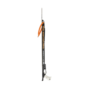 Speargun sea Bass 65cm bonassi for spearfishing