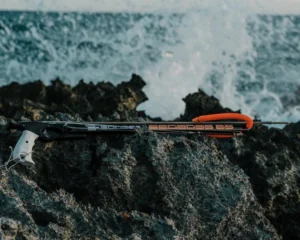 Spearfishing